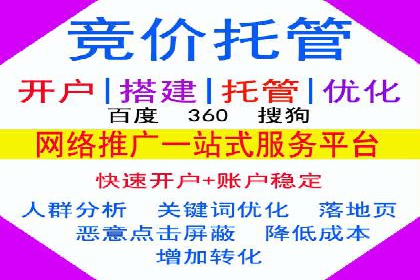 网络推广策略：竞价广告的实践案例
